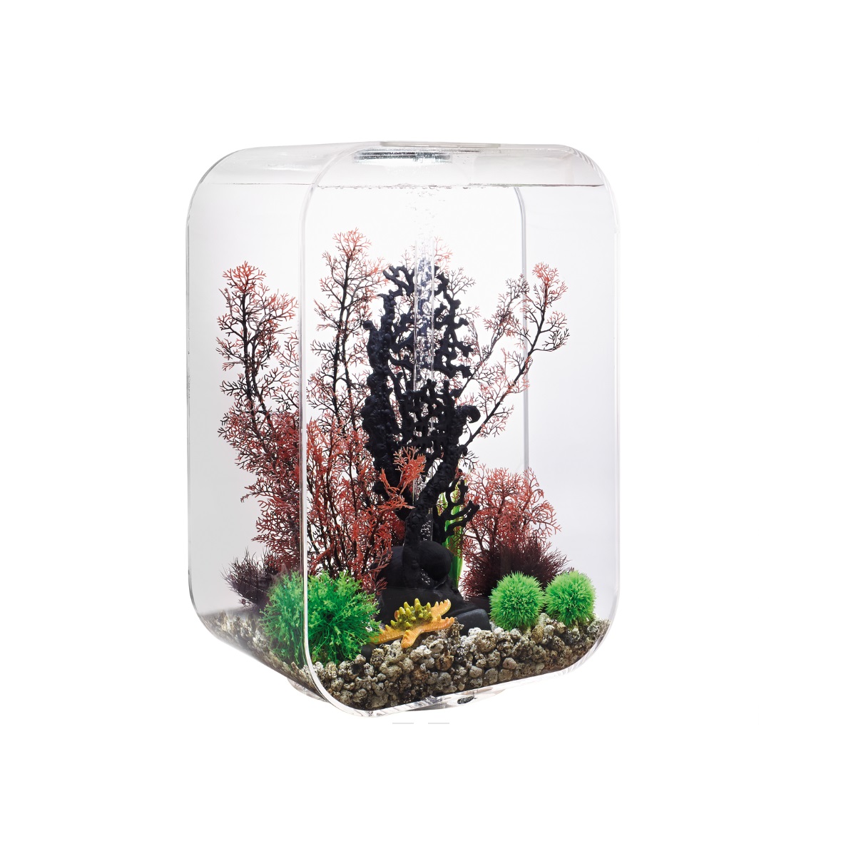oase Aquarium 60l contours transparent oase