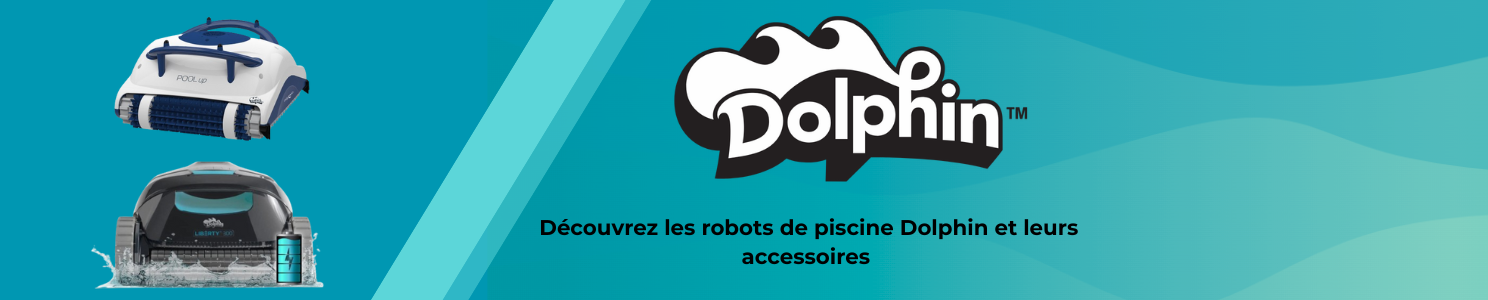 
Dolphin Robot piscine