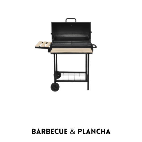 ROBBY Barbecue & plancha